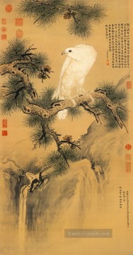  weißen - Lang strahlend weiße Vogel auf Kiefer traditionellen Chinesischen